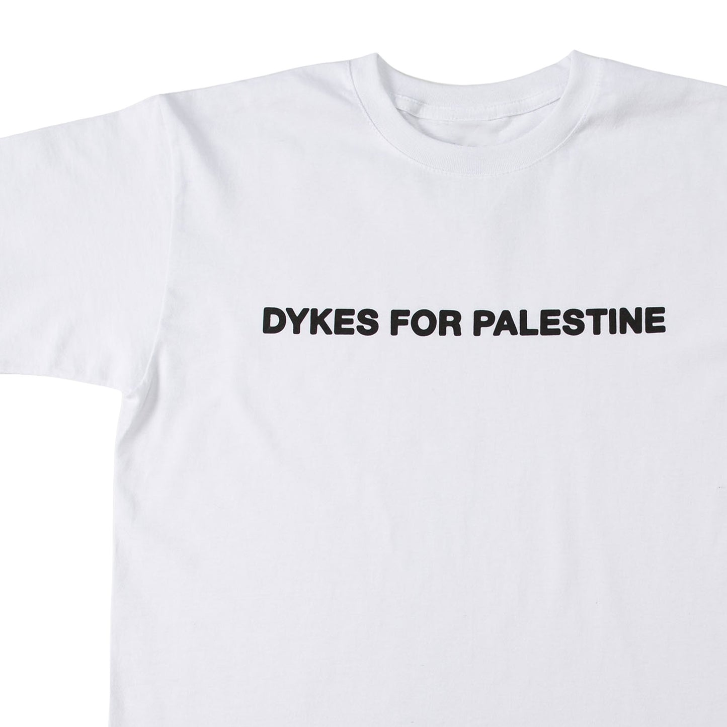 FOR THE DYKES TEE
