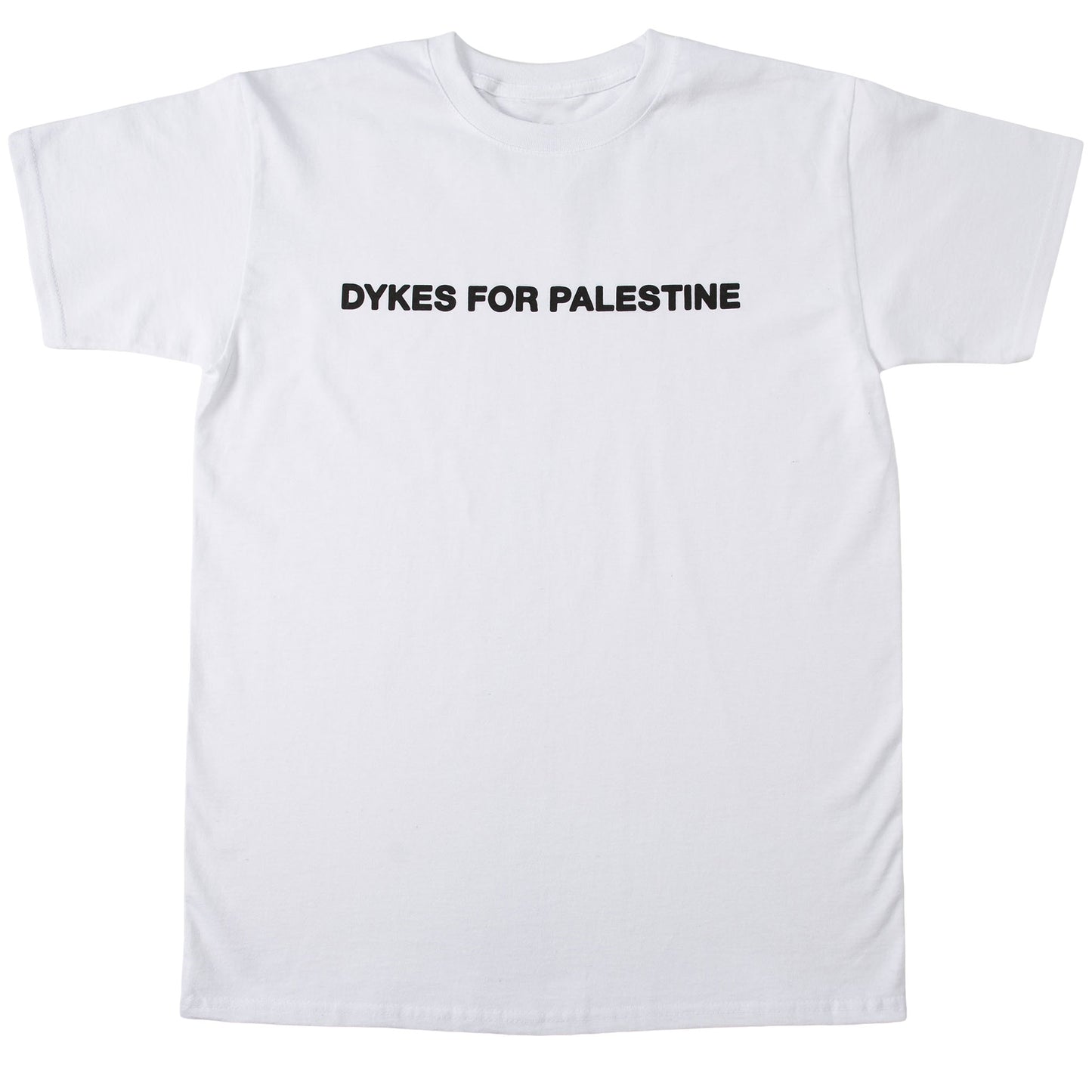 FOR THE DYKES TEE